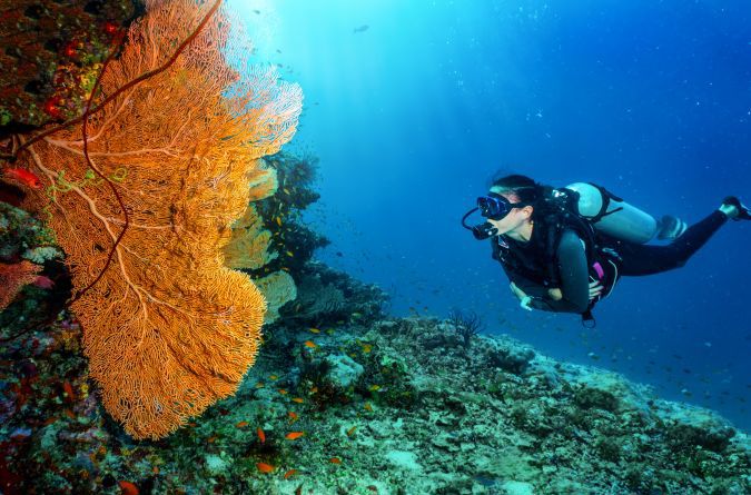 Diving & Snorkeling